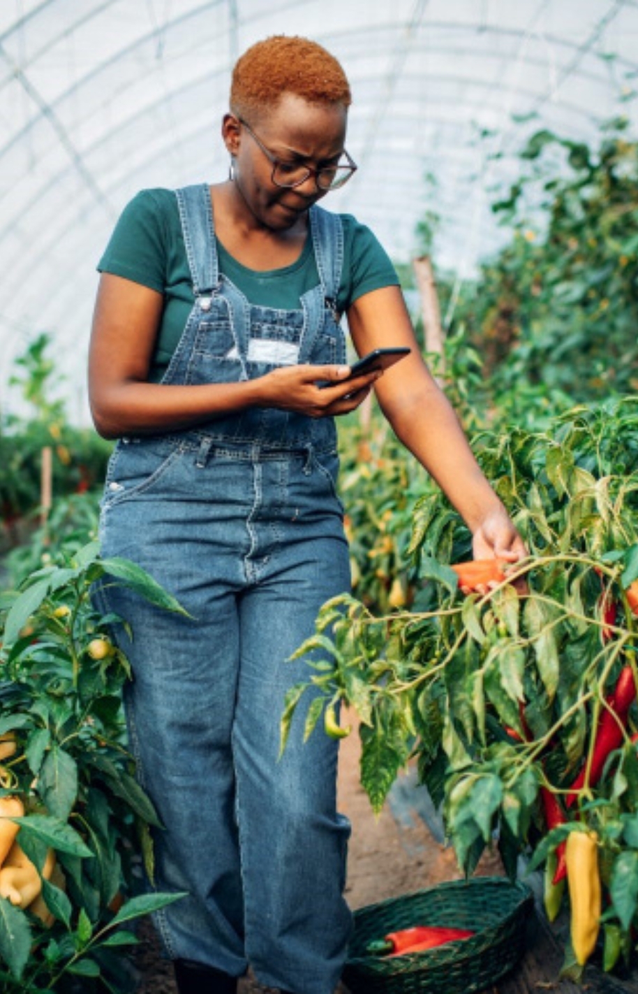 Agricultural